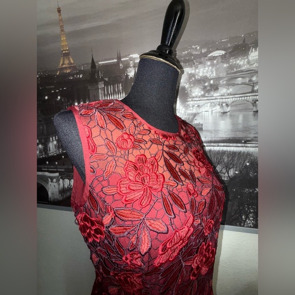 White House Black Market NWOT Red Lace Sheath Dress Size 8 - Picture 3 of 7